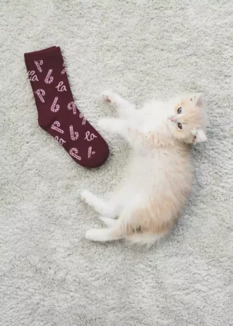 2er-Pack Socken mit Weihnachtsmotiv
