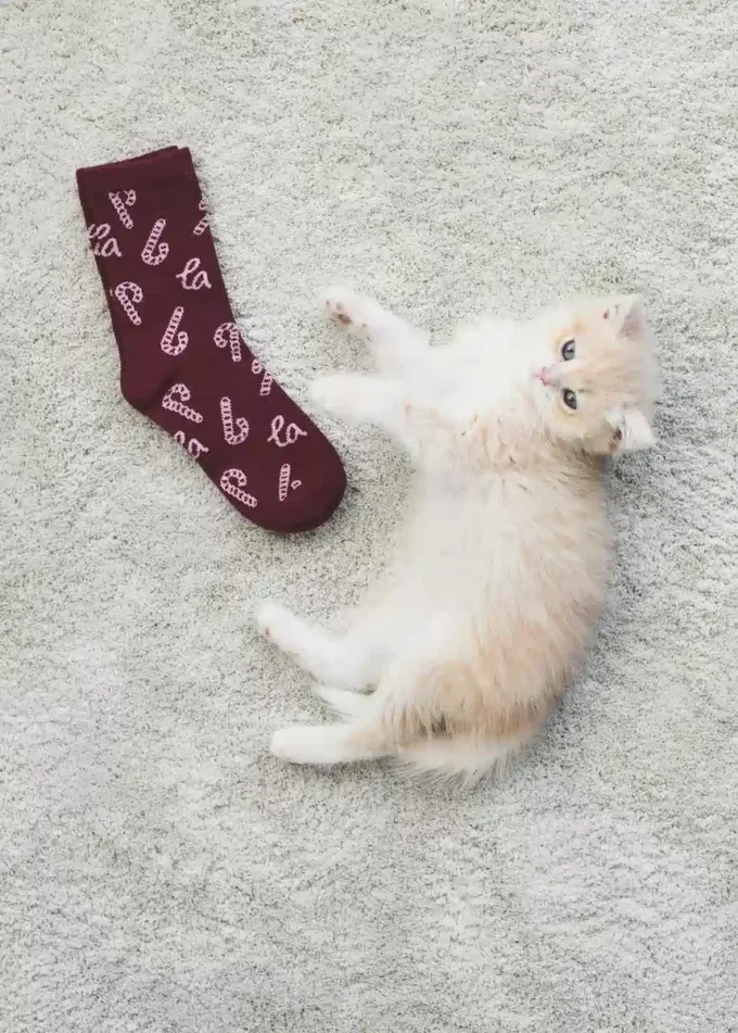 2er-Pack Socken mit Weihnachtsmotiv 2er-Pack Socken mit Weihnachtsmotiv