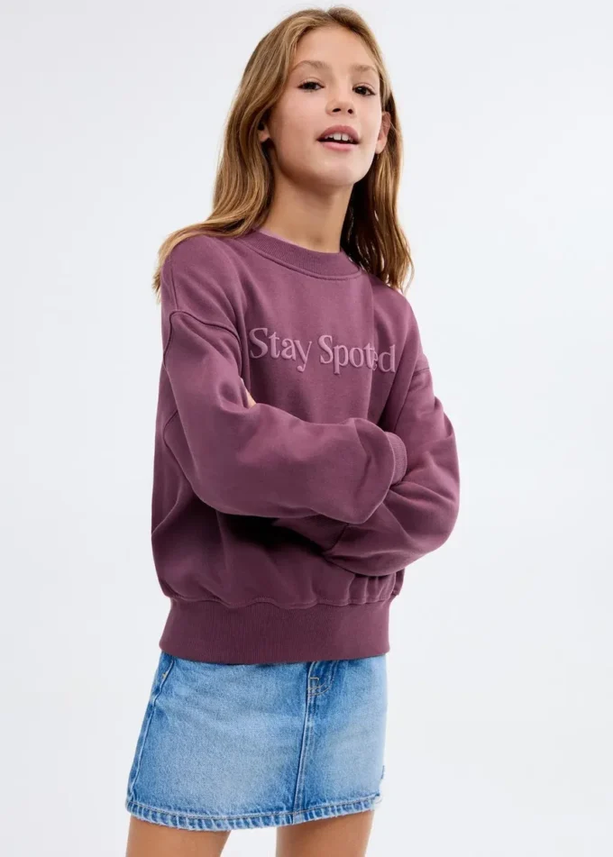 Bedrucktes Sweatshirt aus Baumwolle
