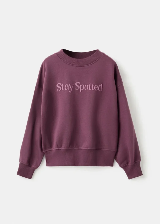 Bedrucktes Sweatshirt aus Baumwolle