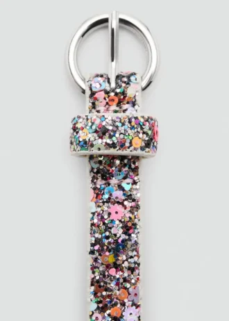 Glitzernder Riemen Glitzernder Riemen