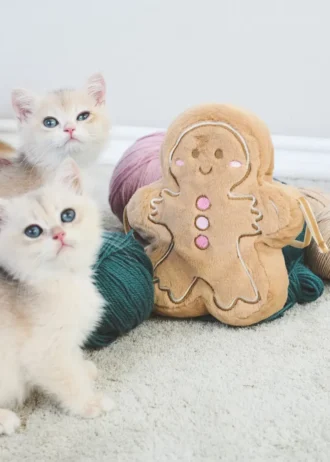 Lebkuchen-Keks-Tasche Lebkuchen-Keks-Tasche