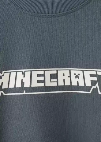 Minecraft-Sweatshirt