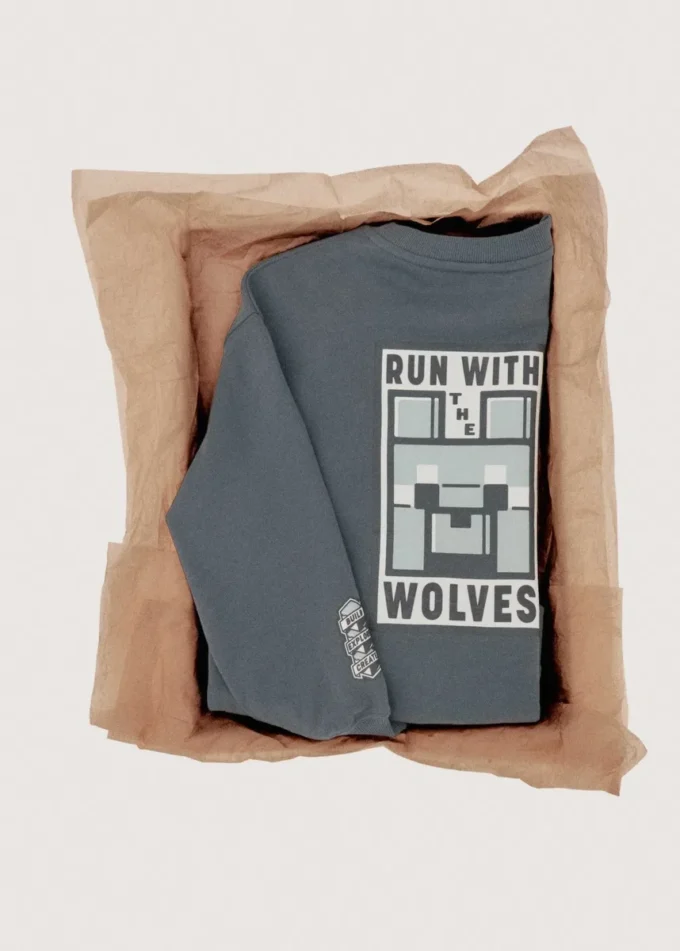 Minecraft-Sweatshirt