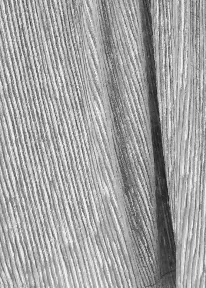 Plissierter Metallic-Rock Plissierter Metallic-Rock