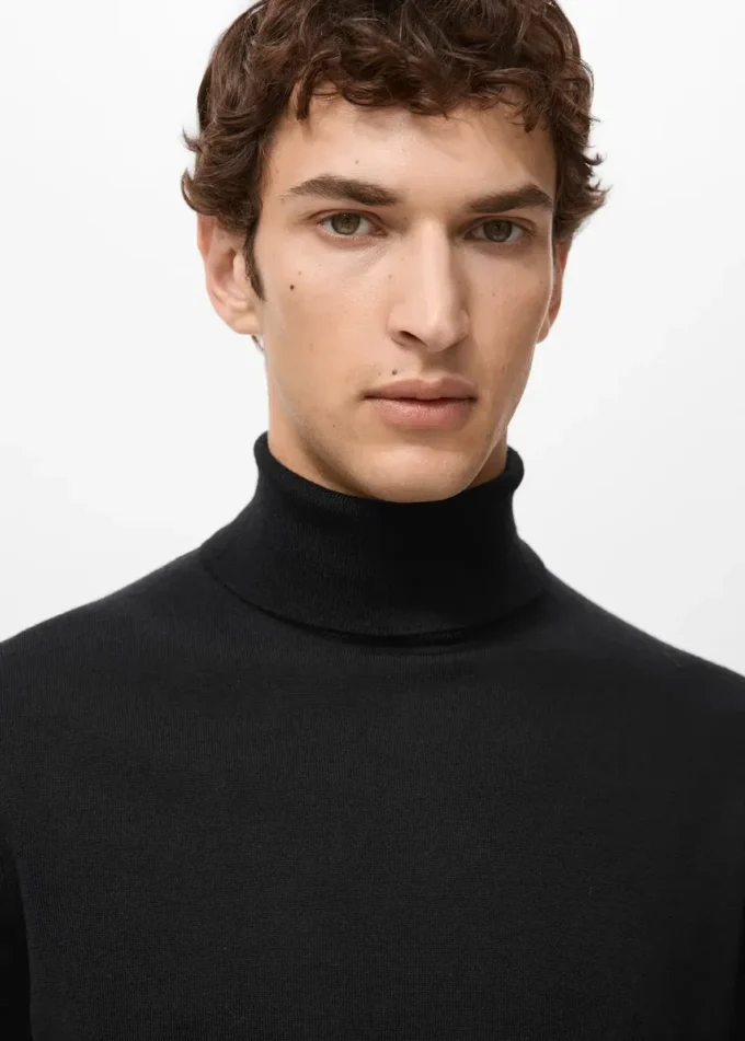 Rollkragenpullover aus 100 % Merinowolle