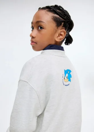 Sonic Hoodie