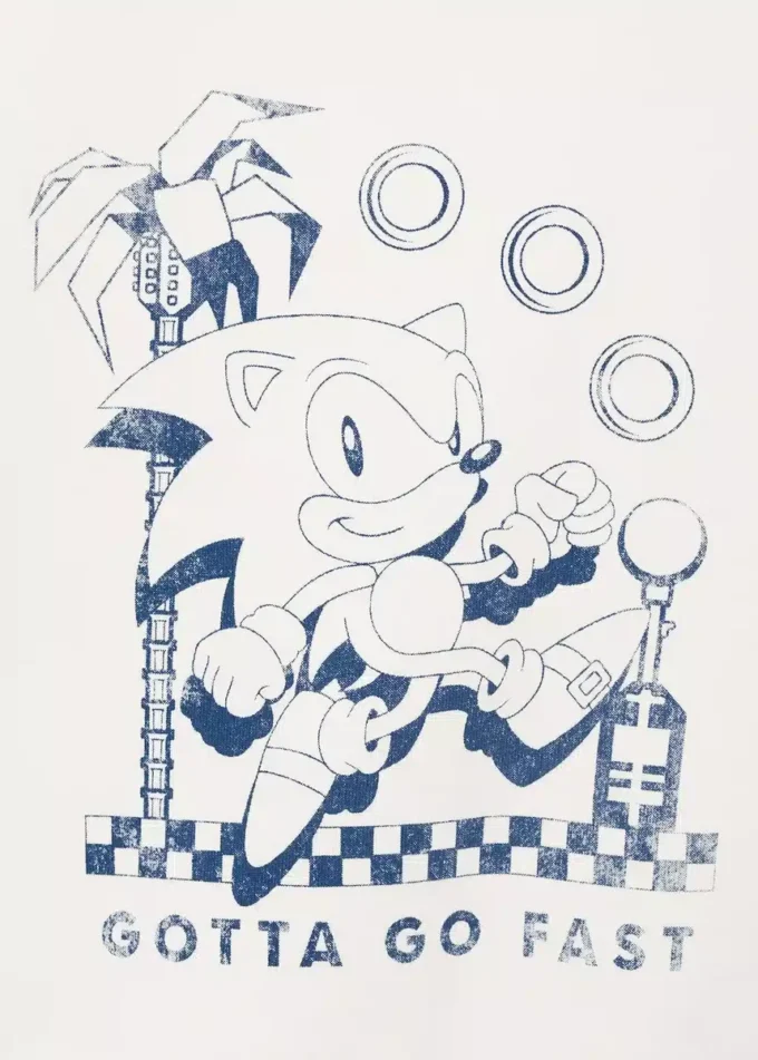 Sonic Hoodie Sonic Hoodie